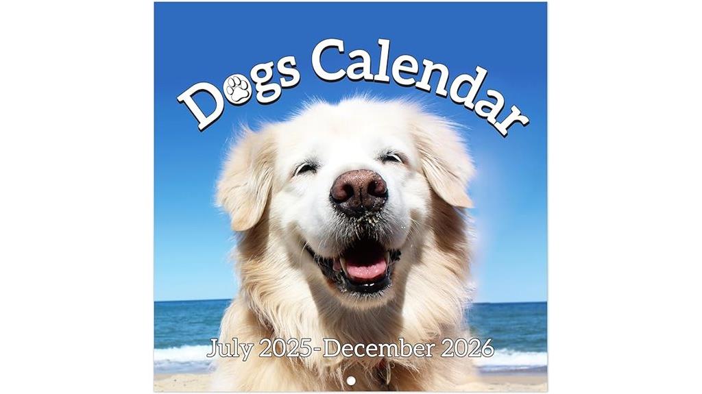 2025 2026 wall calendar