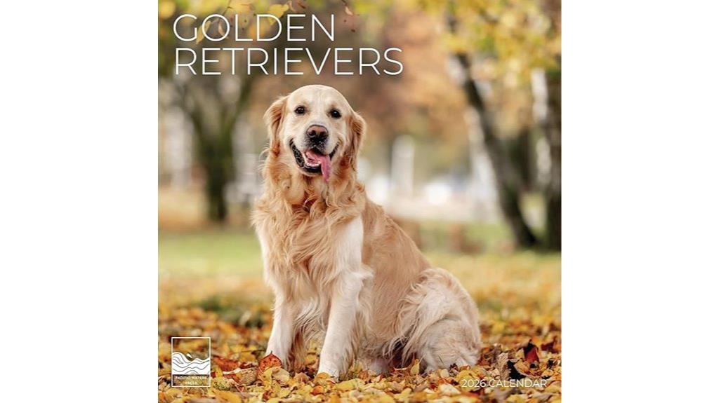 2026 retriever wall calendar