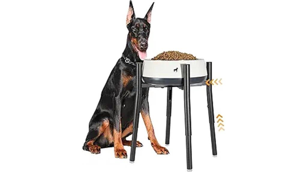 adjustable elevated dog bowl
