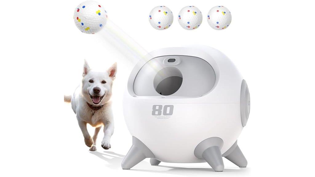 automatic dog ball launcher