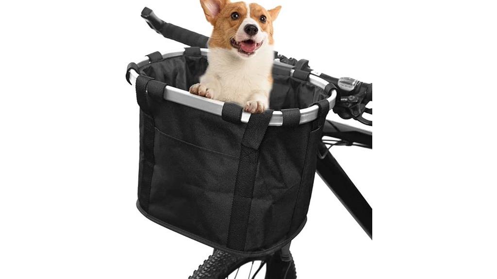 bike basket with quick mount