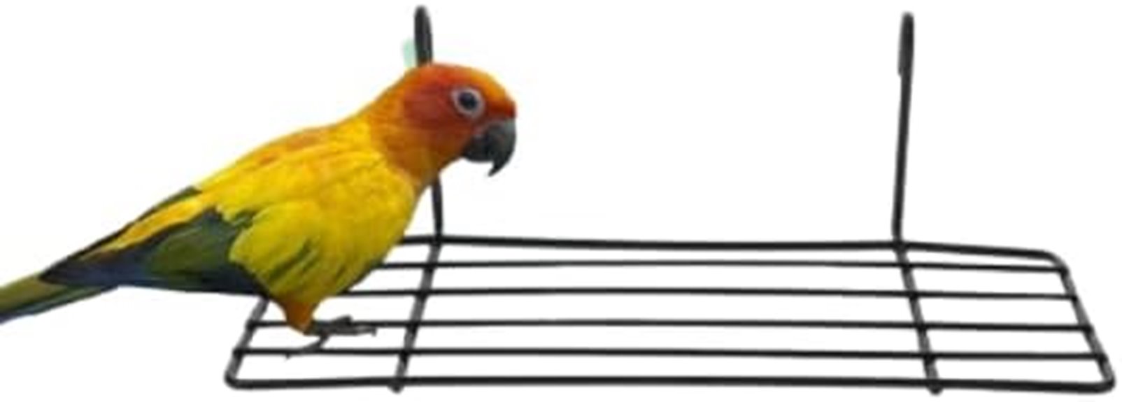 bird perch cage platform