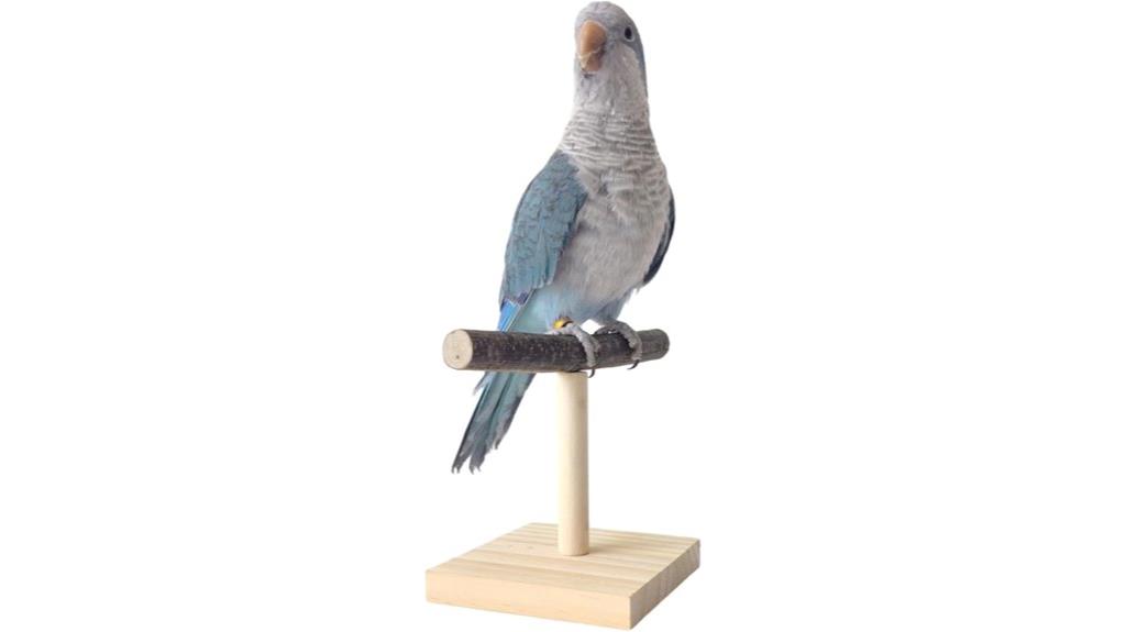 bird perch training platform