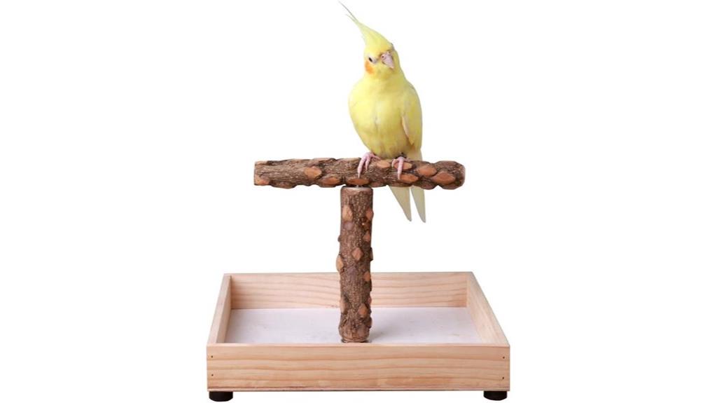 bird stand for parrots