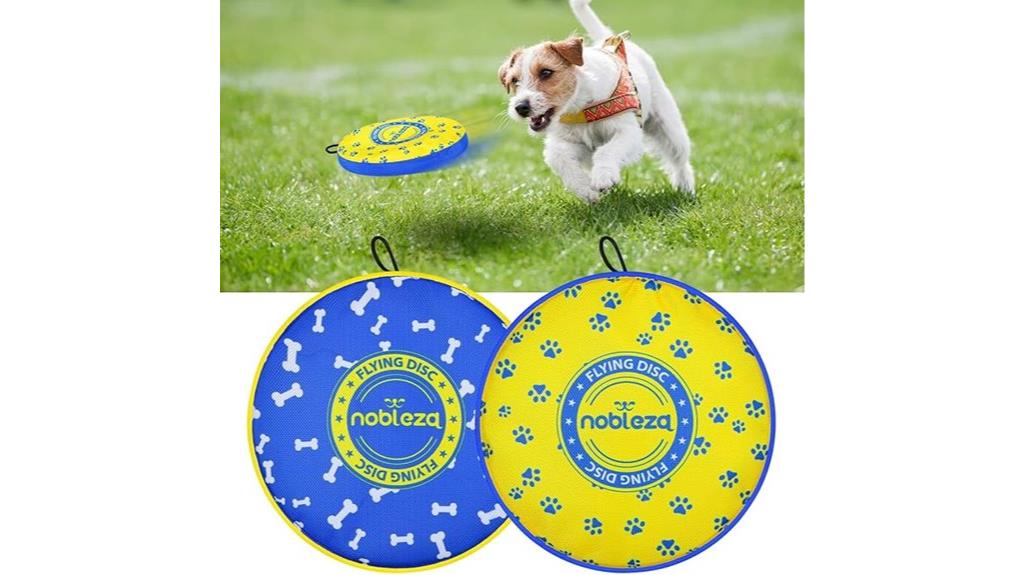 blue and yellow dog disc