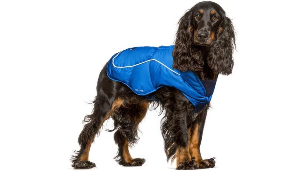 blue insulated winter dog coat
