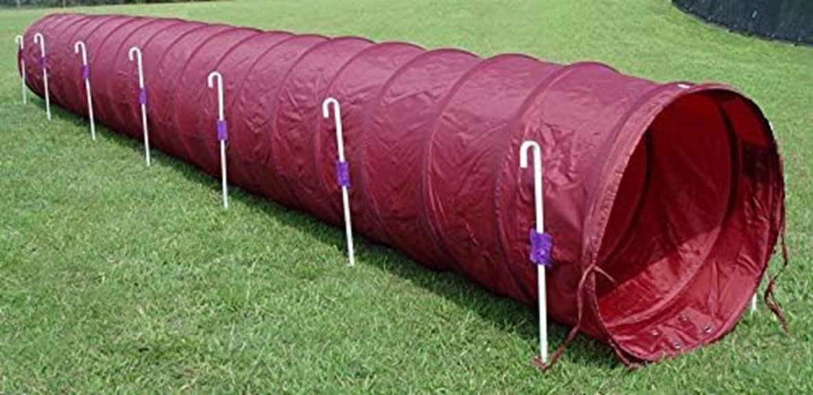 colorful burgundy dog tunnel