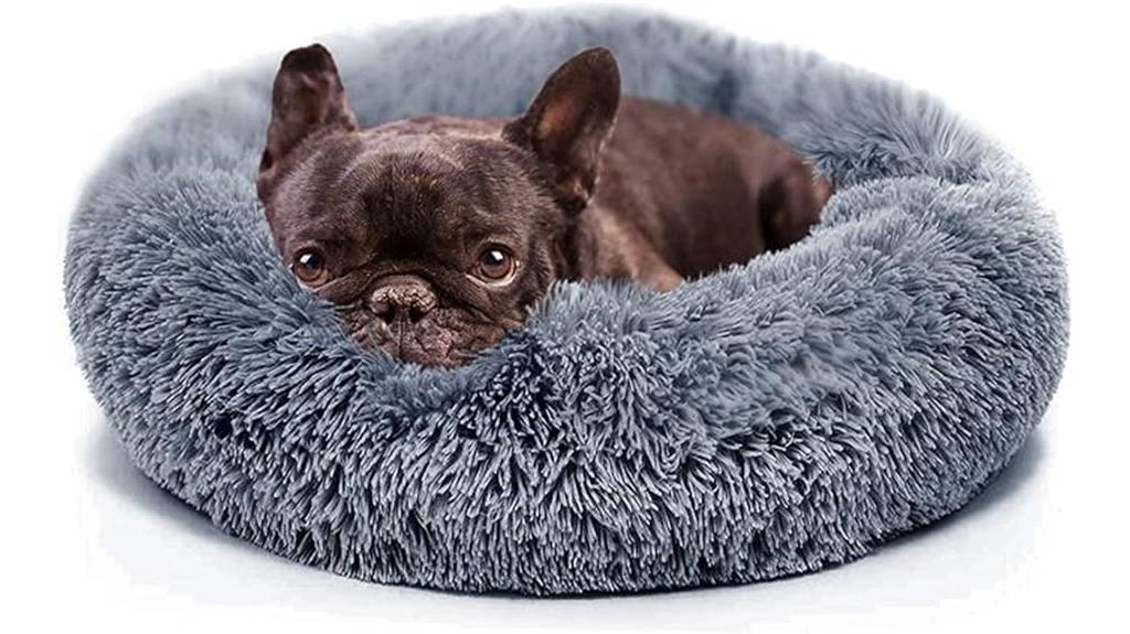 comfortable small dog bed