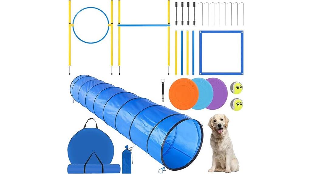 dog agility backyard course