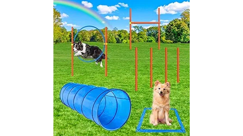 dog agility obstacle kit