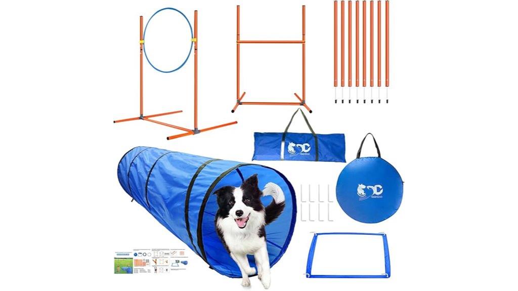 dog agility starter kit