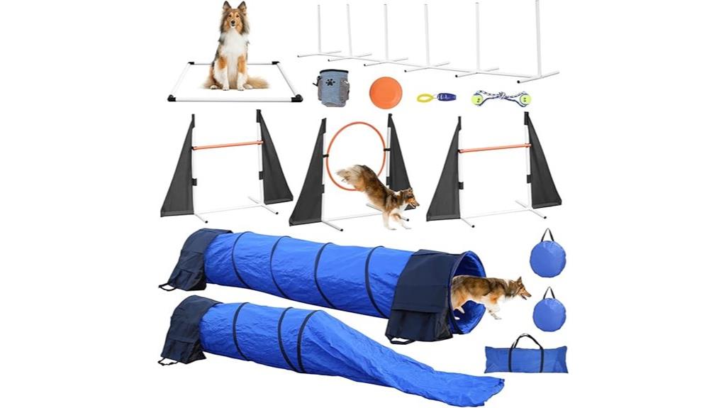 dog agility training set