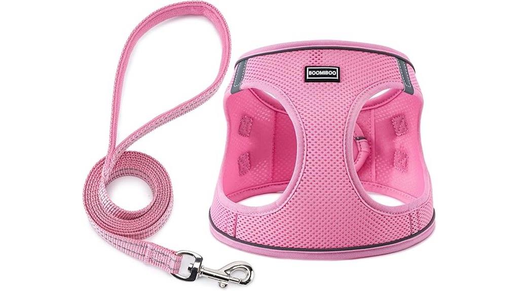 dog and cat harness set