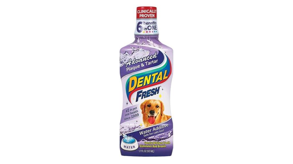 dog and cat oral health