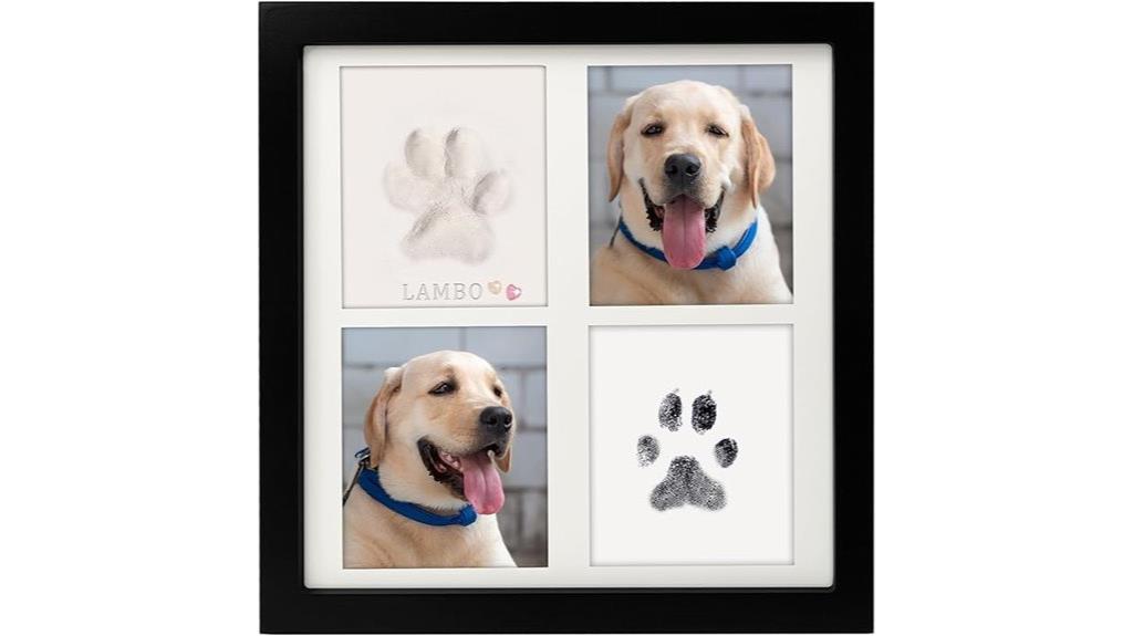 dog and cat paw print kit