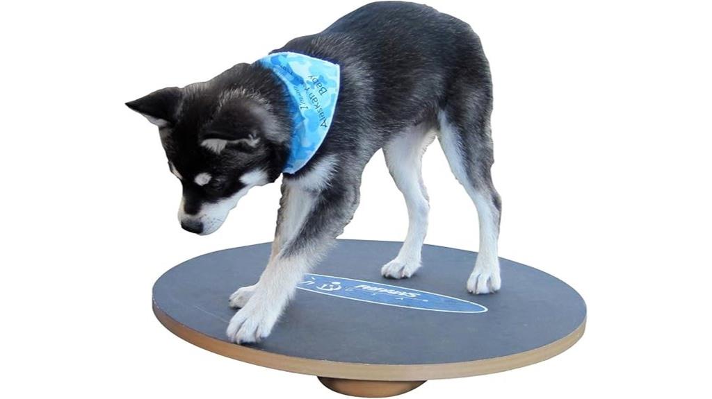 dog balance and fitness board