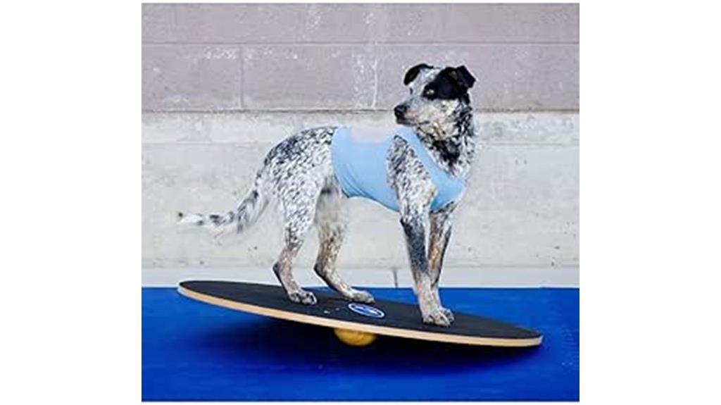 dog balance fitness equipment