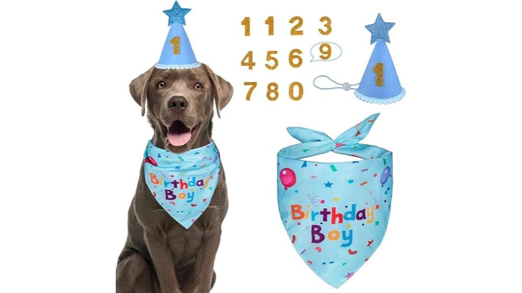 dog birthday bandana set
