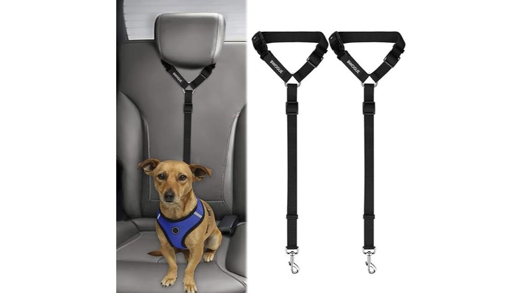 dog cat car seat belts