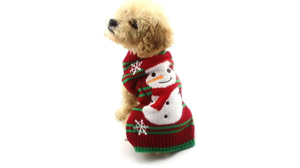 dog cat snow sweater