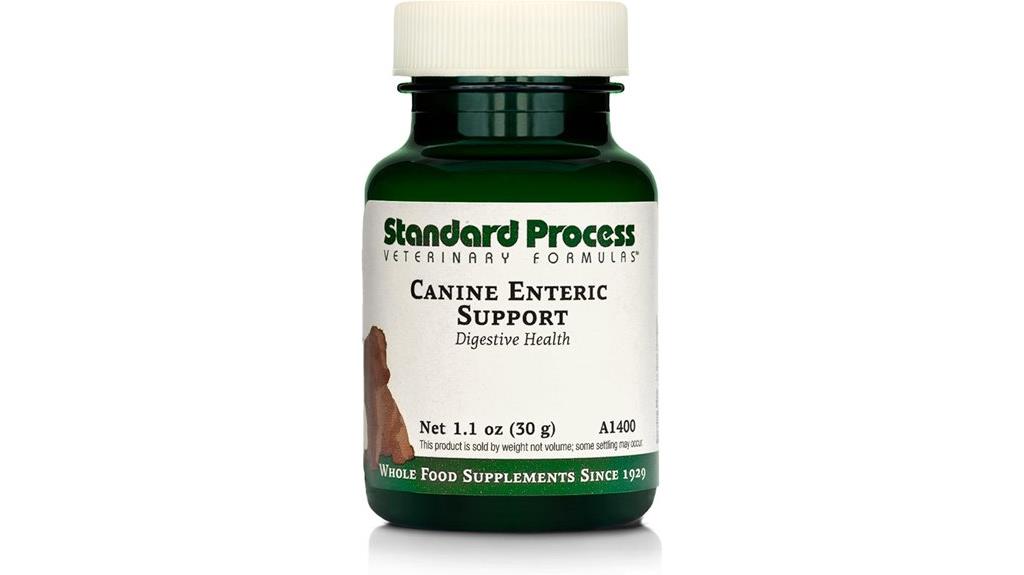 dog digestive health support