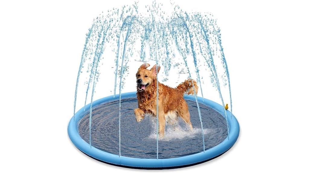 dog friendly water play area