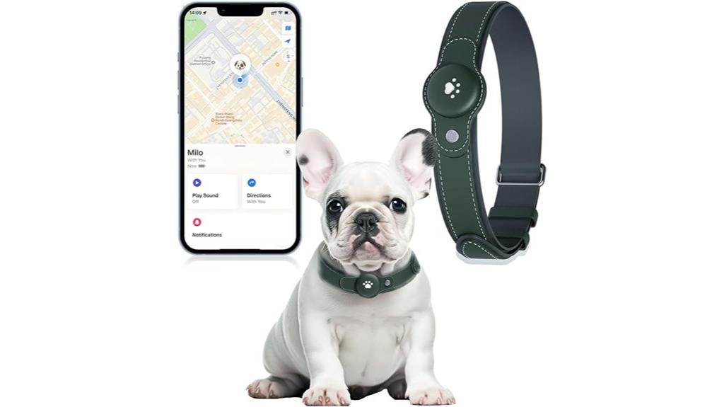 dog gps smart collar
