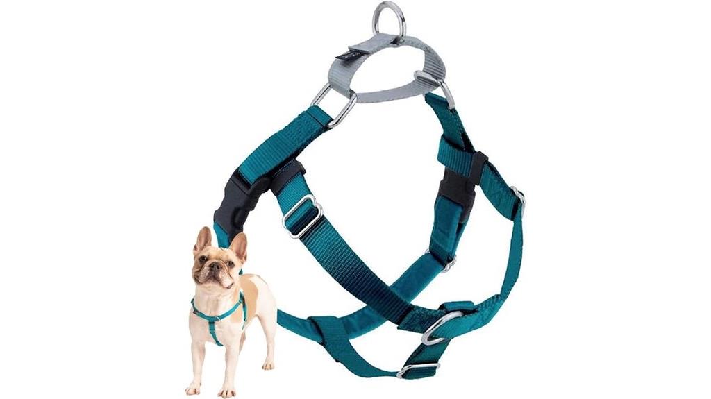dog harness for freedom