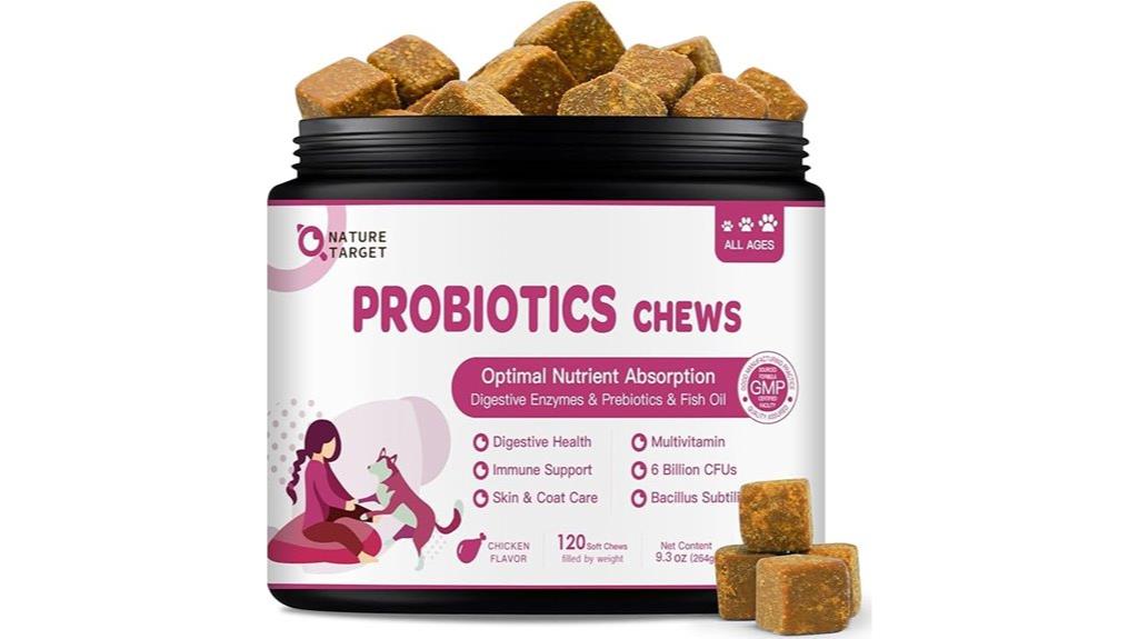 dog health digestive supplement