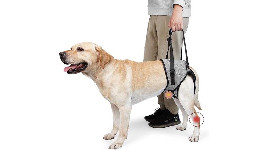 dog lift harness system