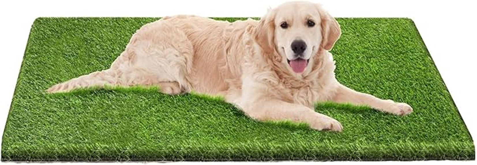 dog pee pads with drainage