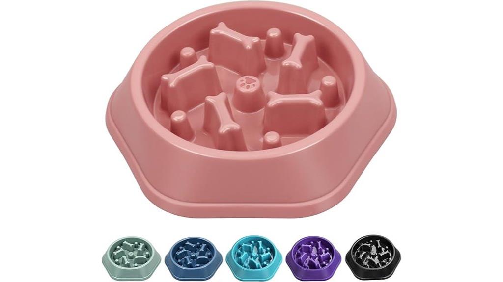 dog puzzle bowl