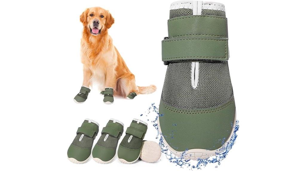 dog shoe size large