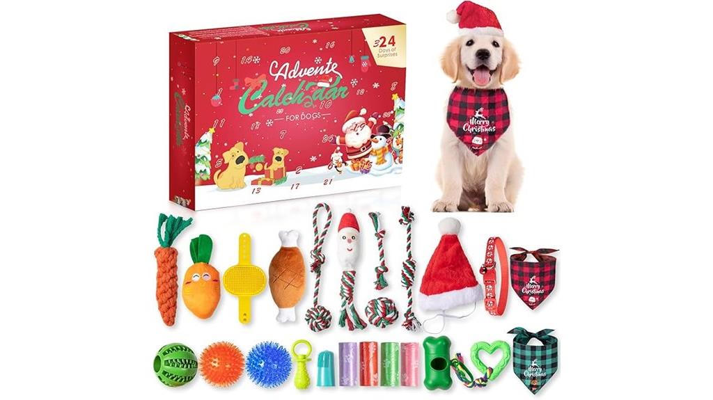dog toy calendar 2024