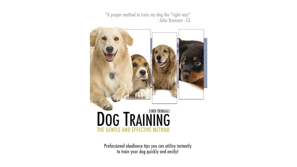 dog training step by step