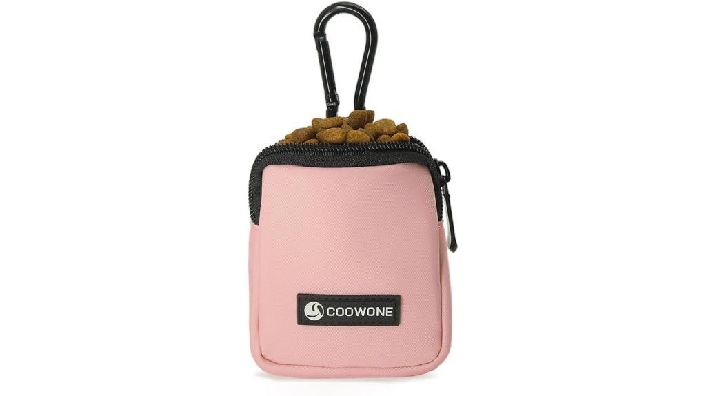 dog treat pouch for walks