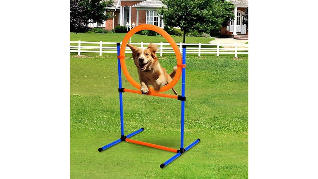 dual purpose agility training set