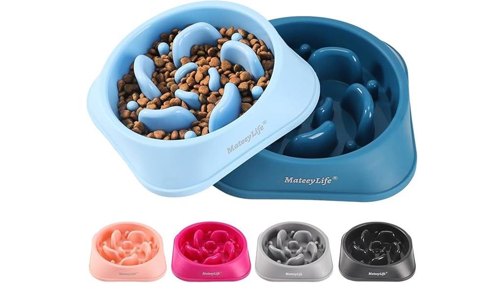 dual slow feed dog bowls