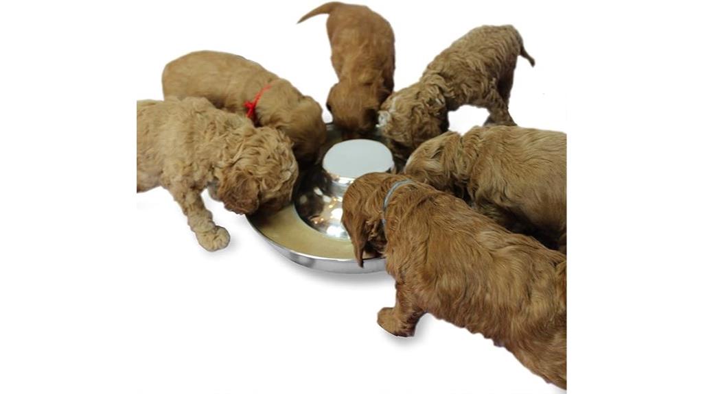 durable stainless steel bowls