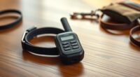 effective remote dog training