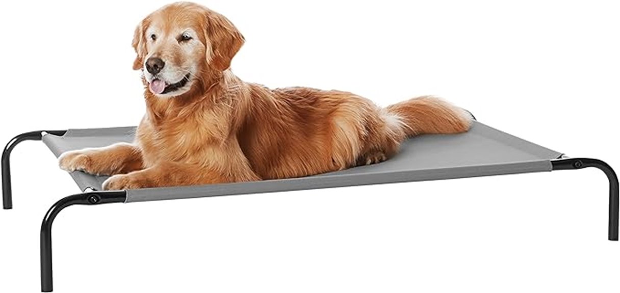 elevated large dog bed