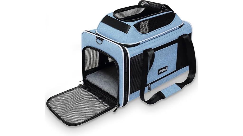 expandable cat carry on