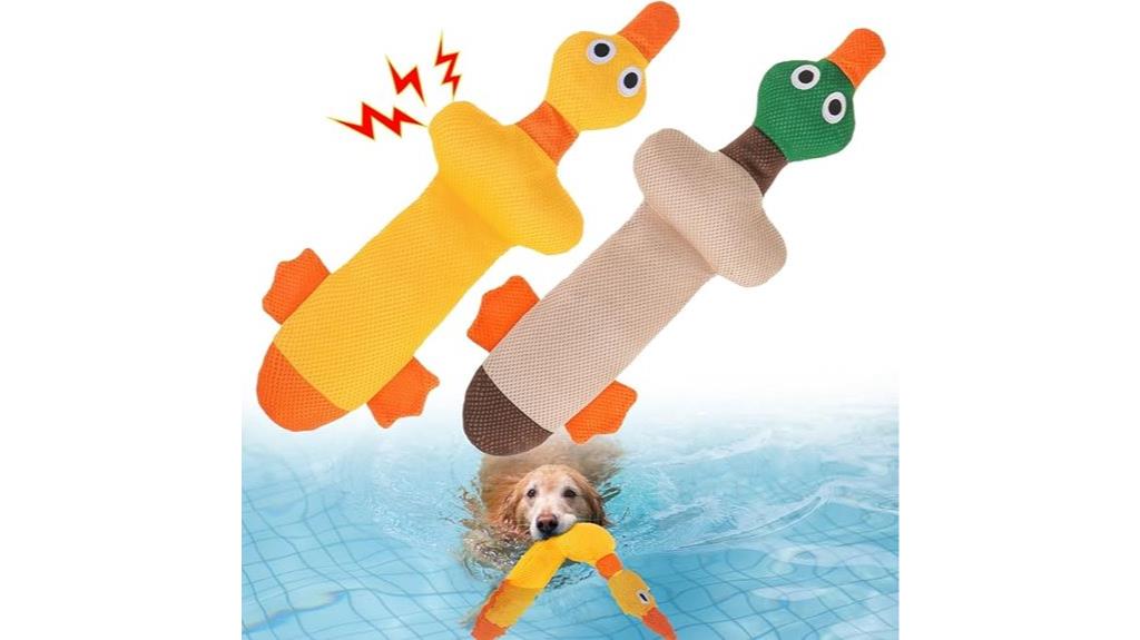 floating dog pool toys
