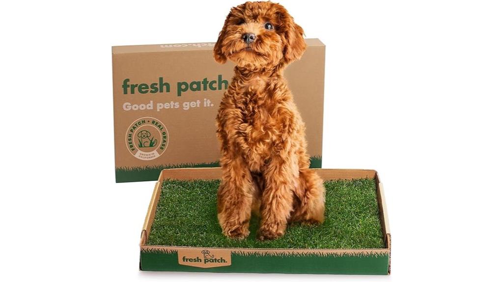 fresh grass pet pee pads