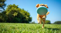 gentle fun soft frisbees