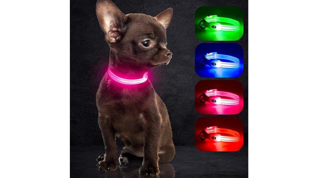 illuminated night dog collars