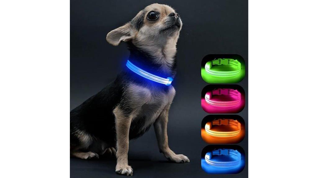 illuminated small dog collar