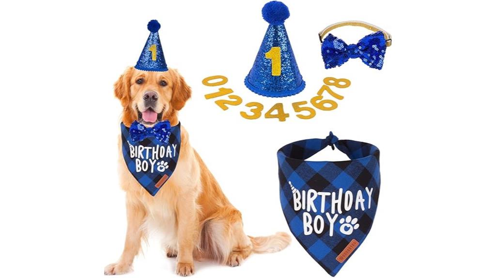 large dog birthday supplies
