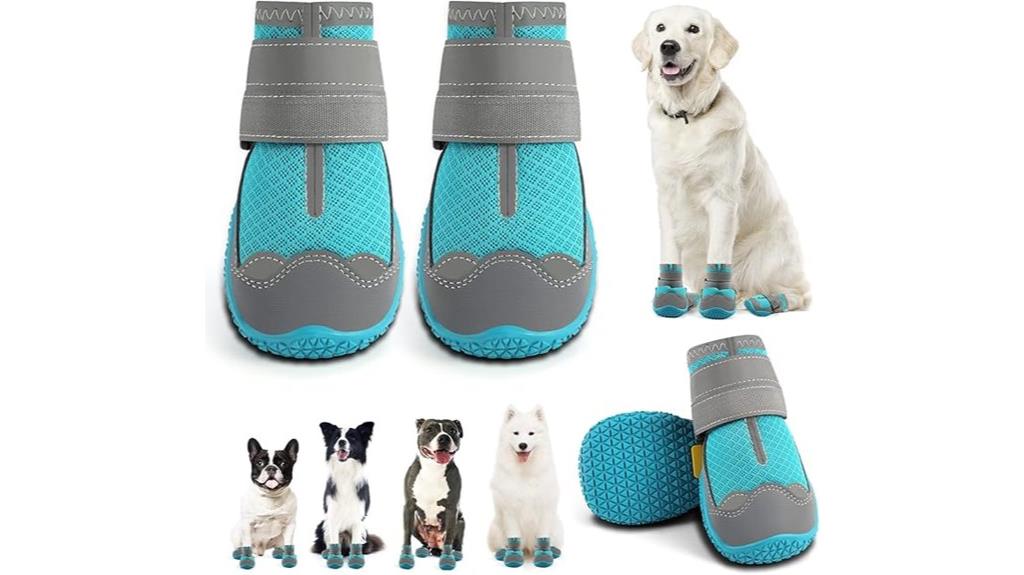 large dog footwear options