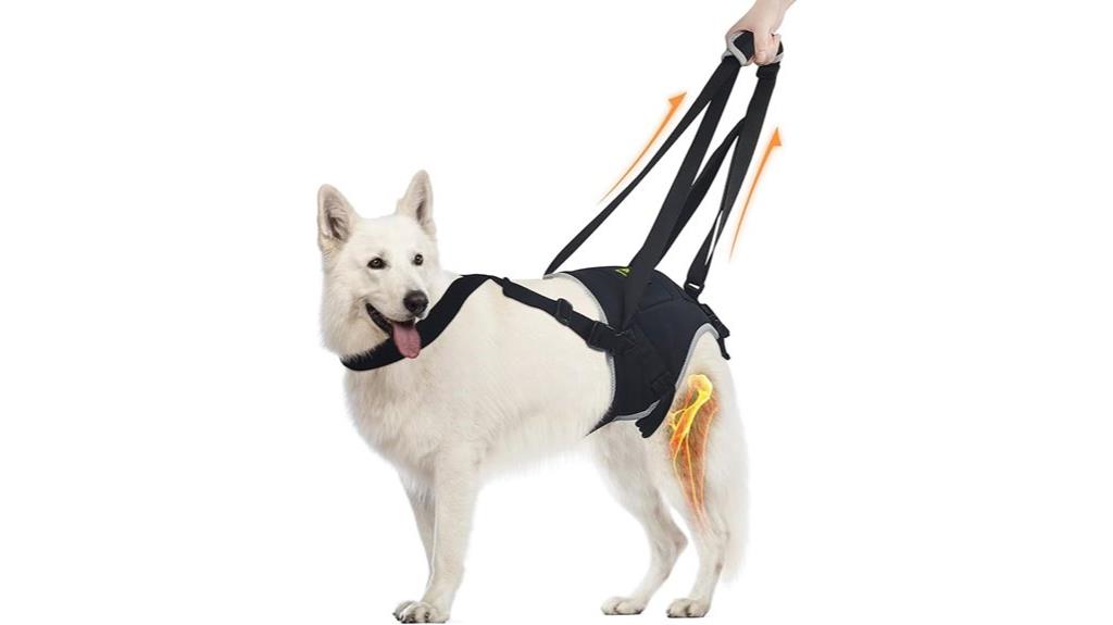 large dog hind leg sling